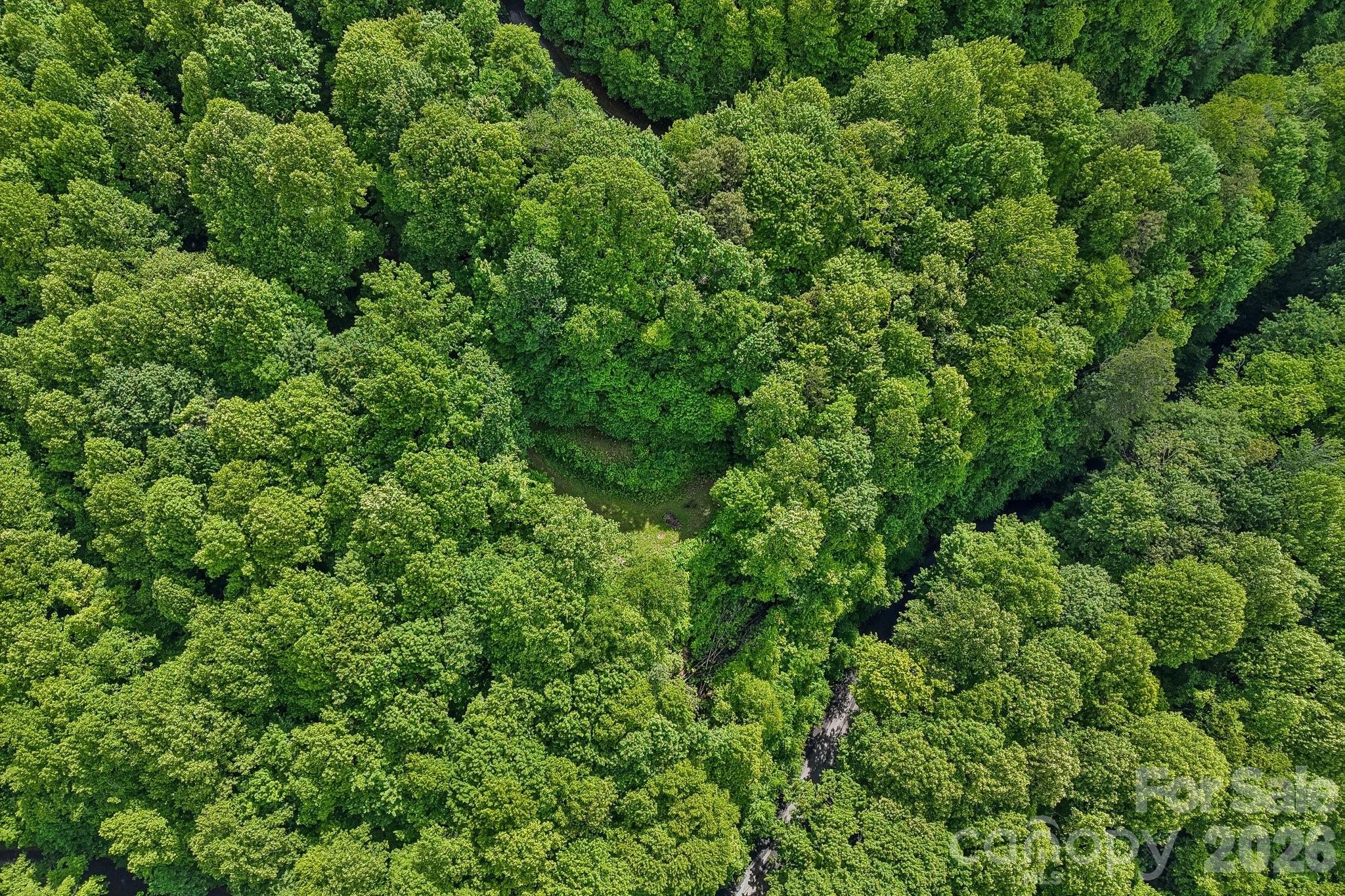 105 Dotsu Trail Maggie Valley NC 28751