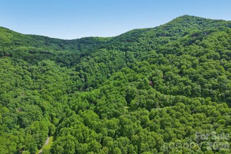 105 Dotsu Trail Maggie Valley NC 28751