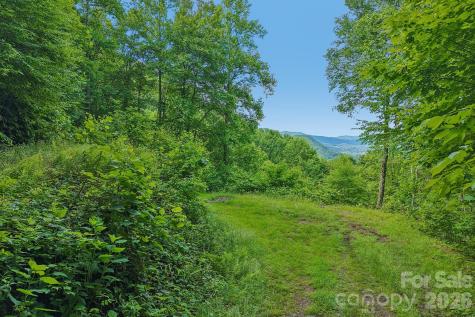105 Dotsu Trail Maggie Valley NC 28751