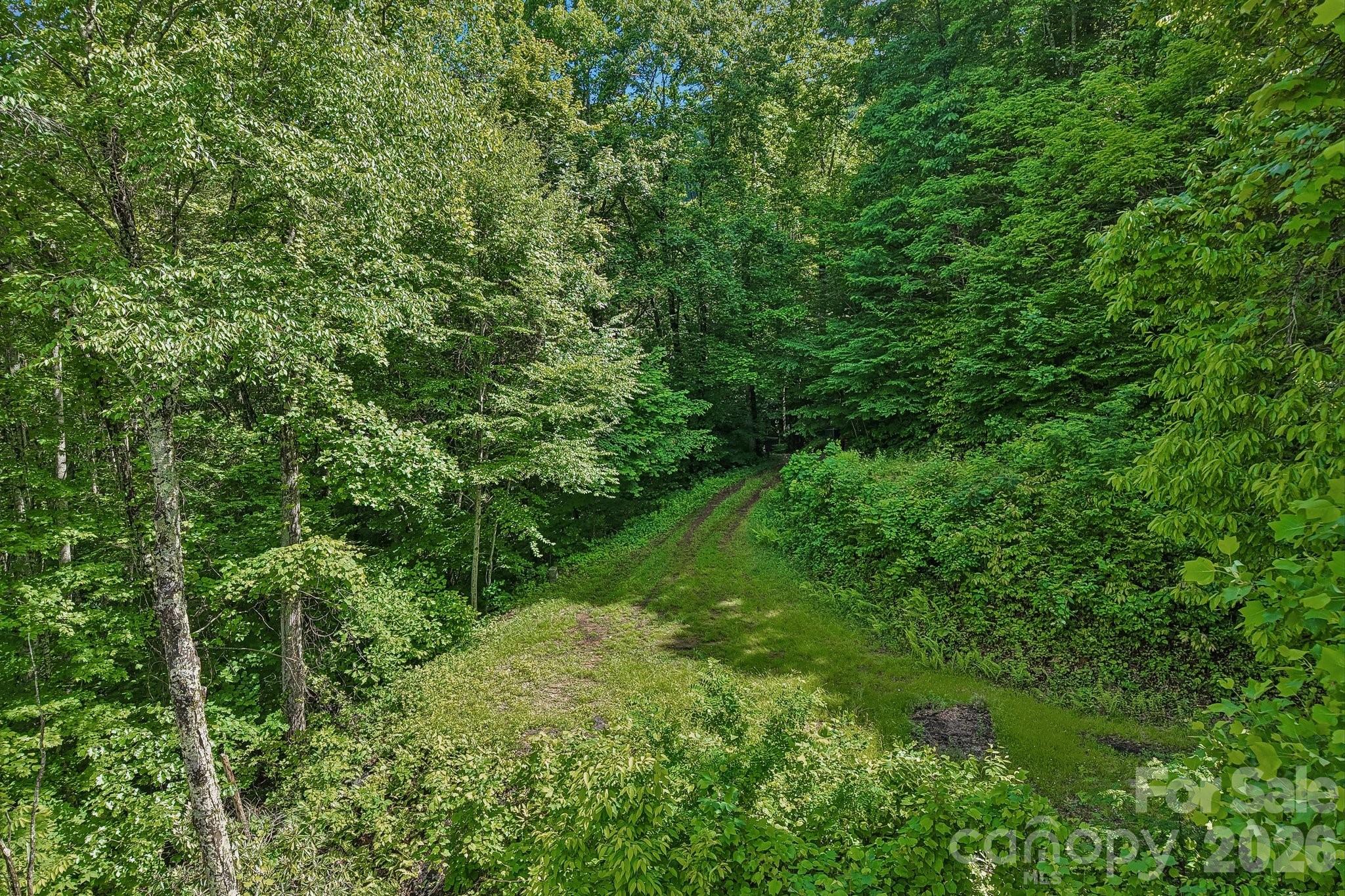 105 Dotsu Trail Maggie Valley NC 28751