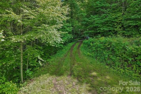 105 Dotsu Trail Maggie Valley NC 28751