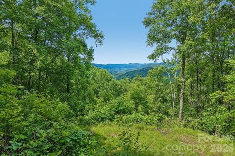 105 Dotsu Trail Maggie Valley NC 28751