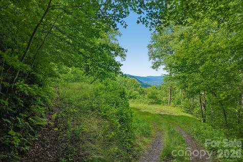 105 Dotsu Trail Maggie Valley NC 28751