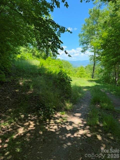 105 Dotsu Trail Maggie Valley NC 28751