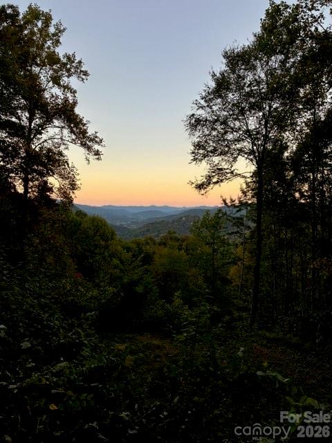 105 Dotsu Trail Maggie Valley NC 28751