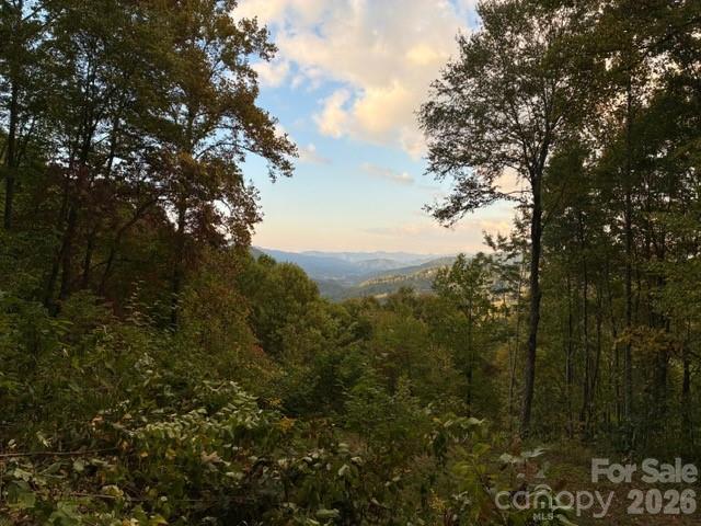 105 Dotsu Trail Maggie Valley NC 28751