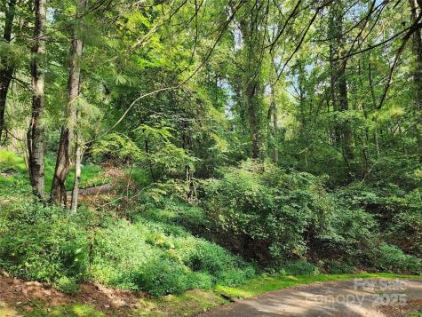 9999 Azalea Court Arden NC 28704