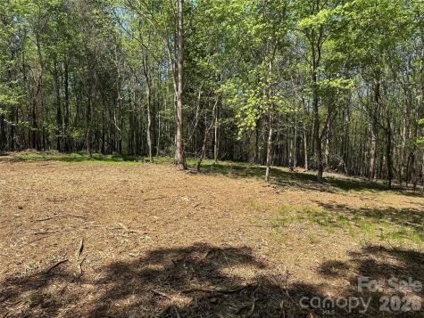 230 Long Leaf Pine Drive Hiddenite NC 28636