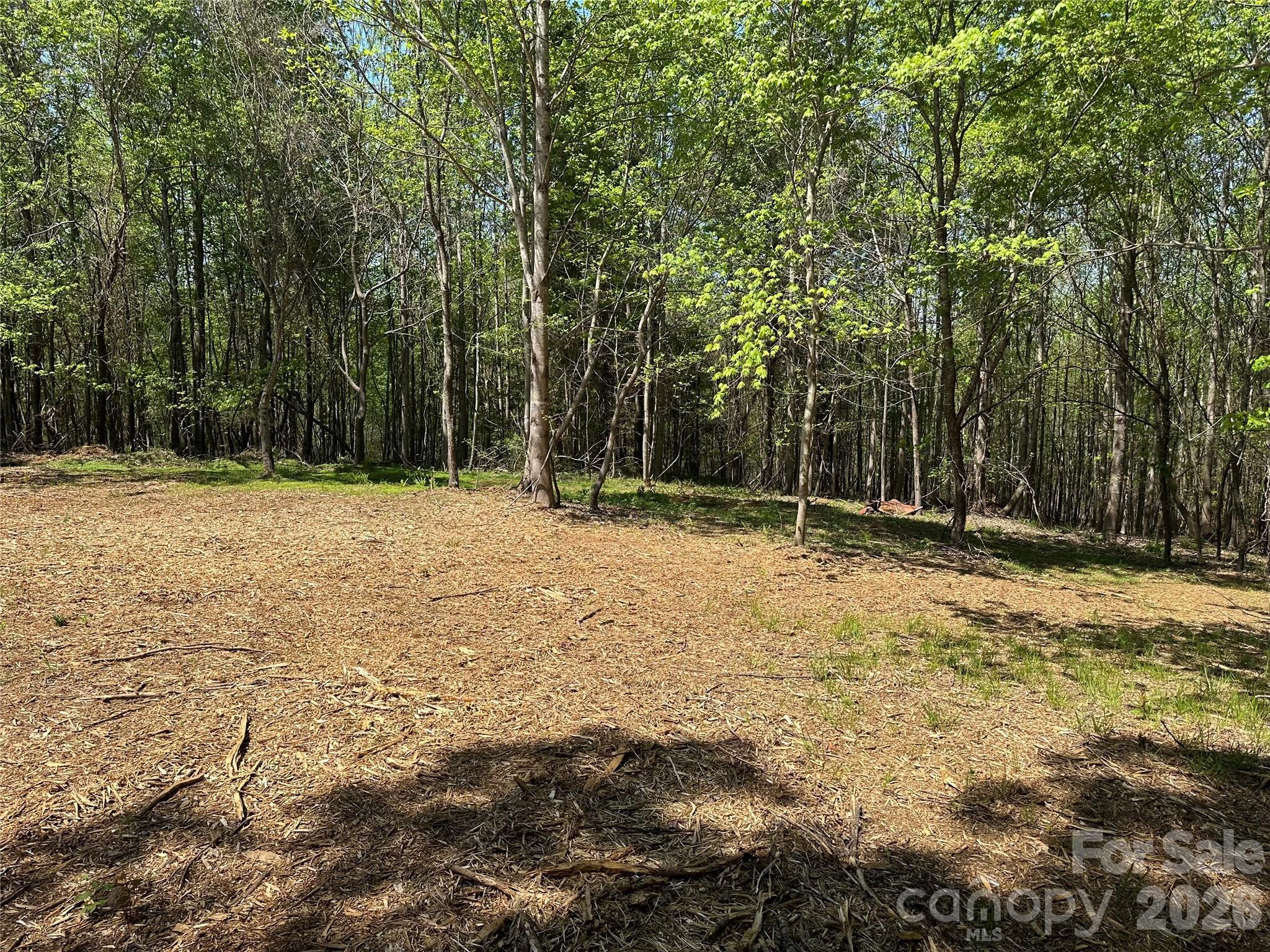 230 Long Leaf Pine Drive Hiddenite NC 28636