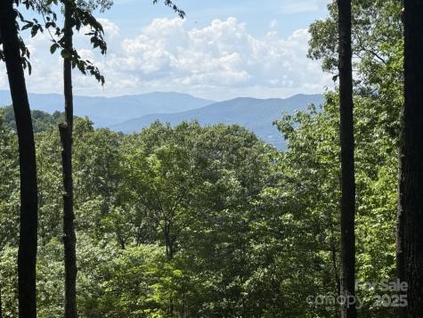 Lt 176 E Reach Road Sylva NC 28779