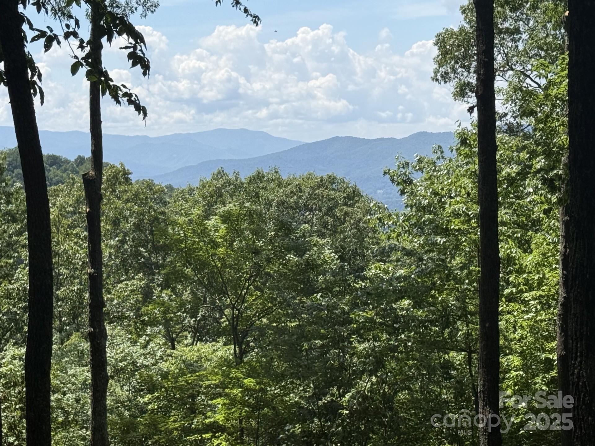 Lt 176 E Reach Road Sylva NC 28779