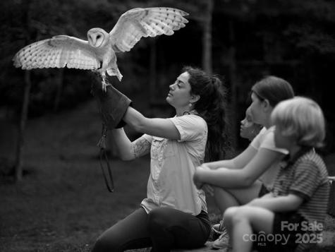 Lt 176 E Reach Road Sylva NC 28779