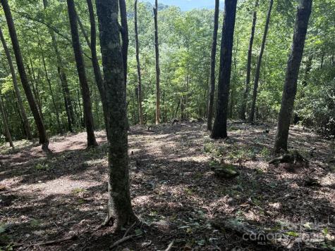 Lt 176 E Reach Road Sylva NC 28779