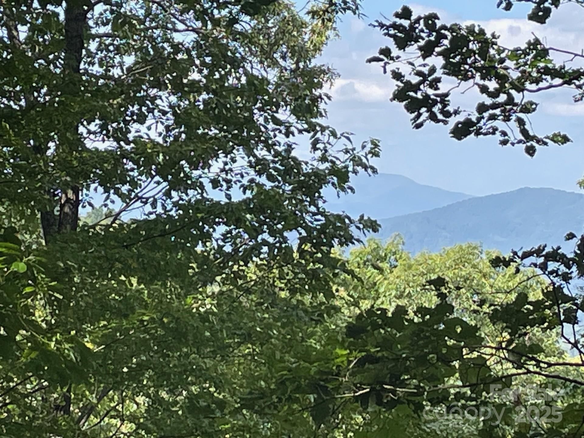 Lt 176 E Reach Road Sylva NC 28779