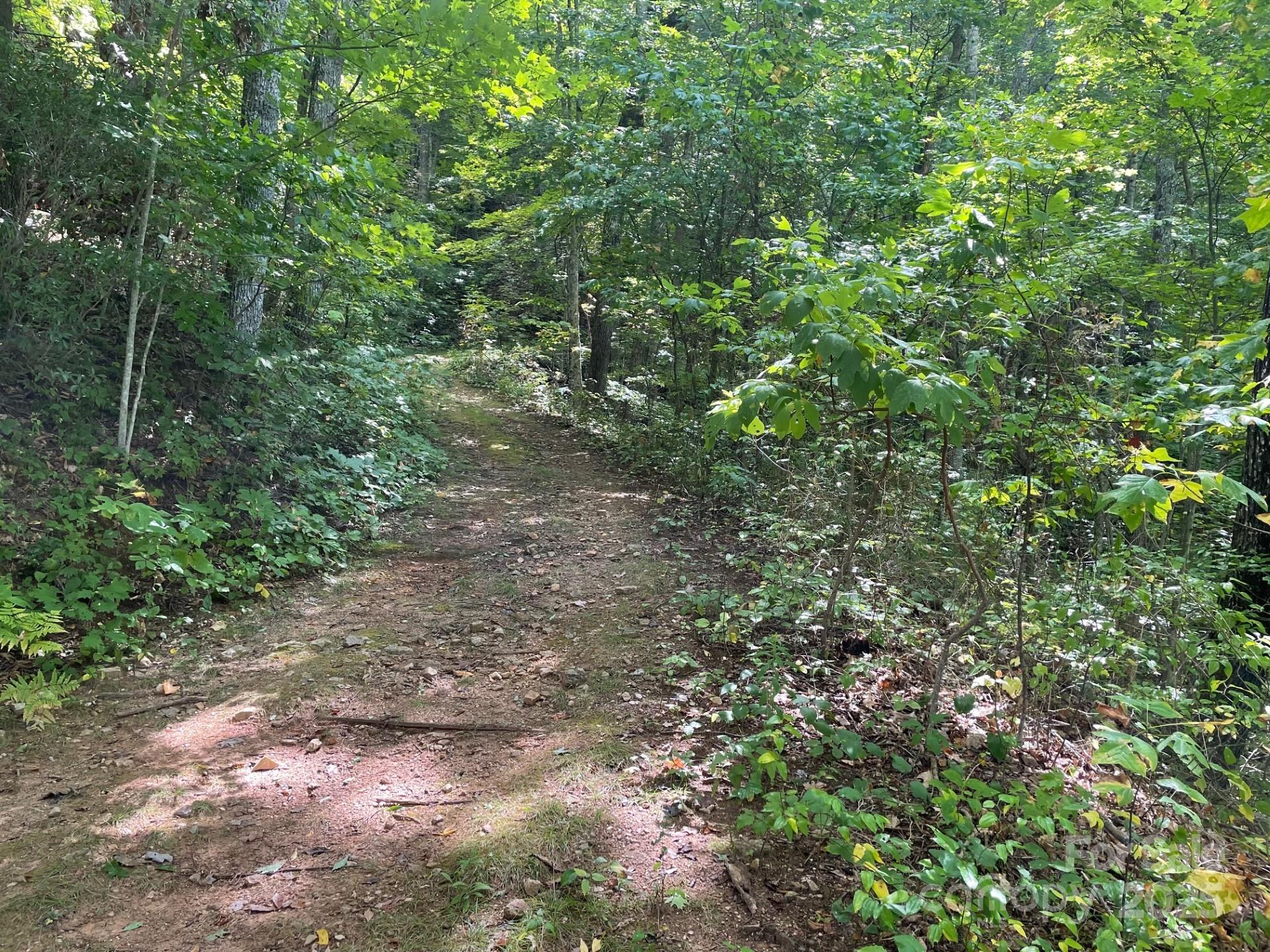 Lt 176 E Reach Road Sylva NC 28779