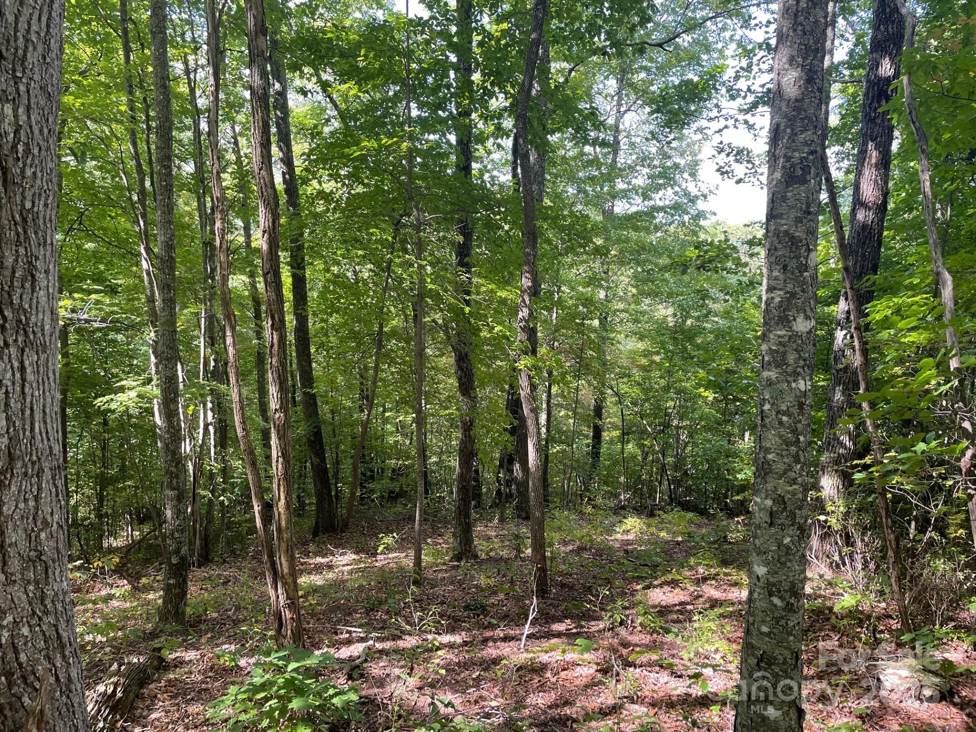 Lt 176 E Reach Road Sylva NC 28779