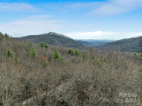 9999-16 Bob Barnwell Road Asheville NC 28803