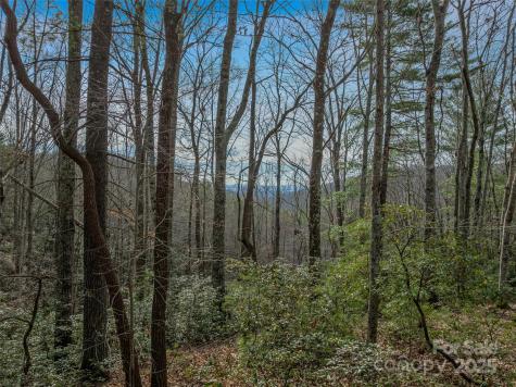 9999-16 Bob Barnwell Road Asheville NC 28803