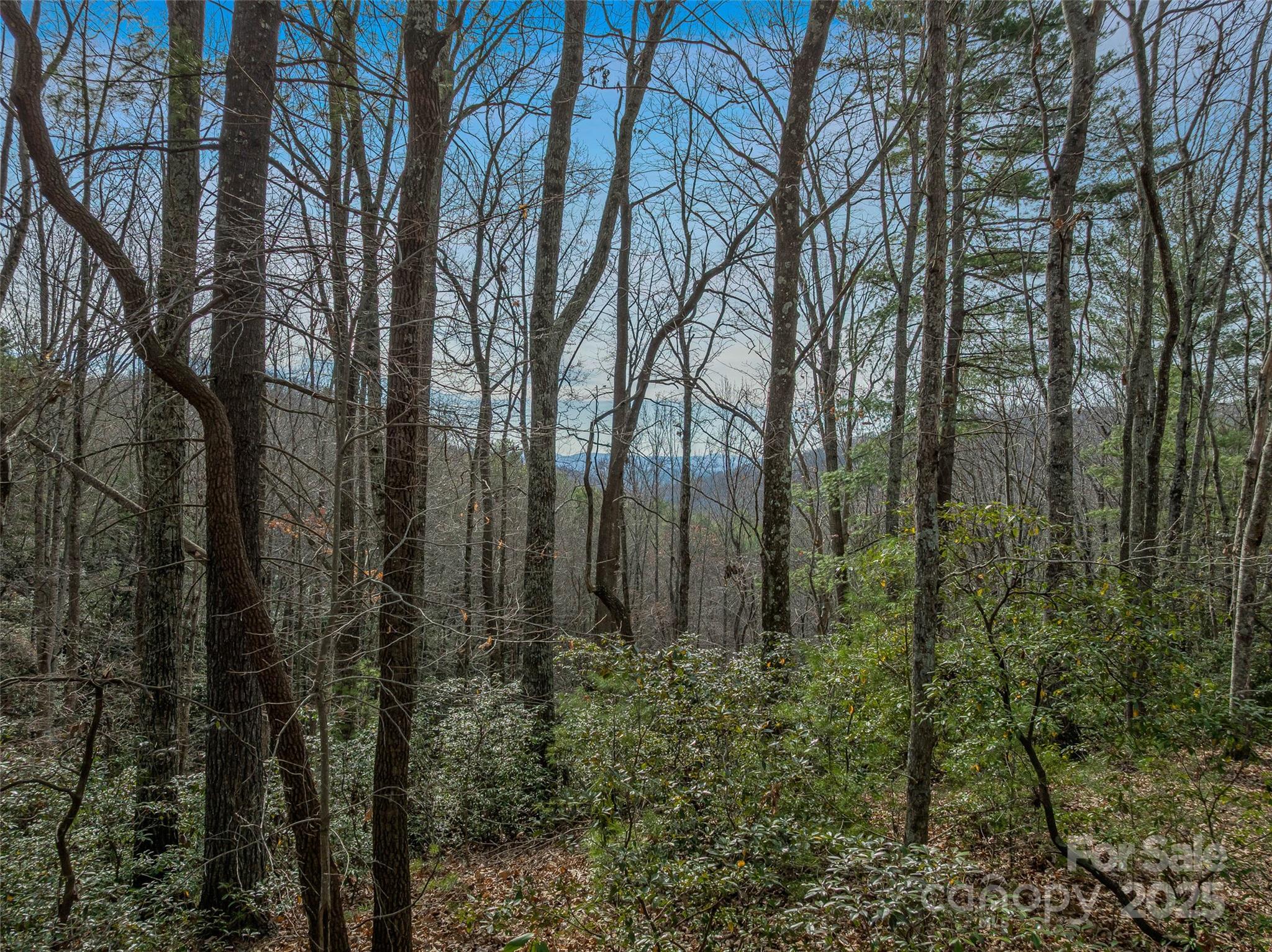 9999-16 Bob Barnwell Road Asheville NC 28803