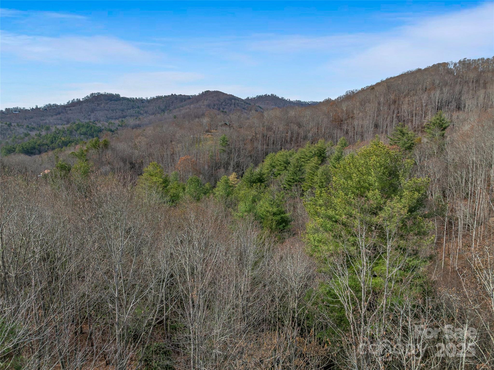 9999-16 Bob Barnwell Road Asheville NC 28803