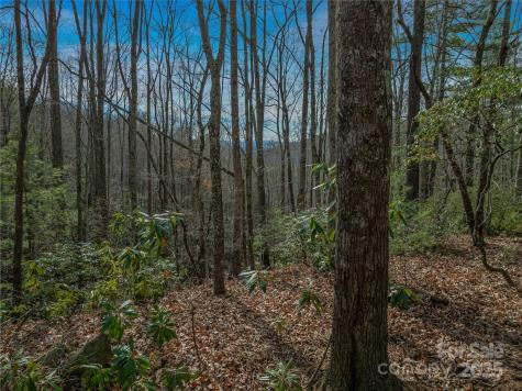9999-16 Bob Barnwell Road Asheville NC 28803