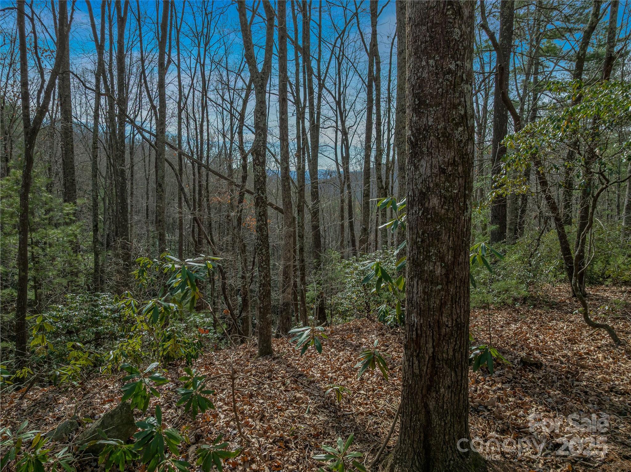 9999-16 Bob Barnwell Road Asheville NC 28803