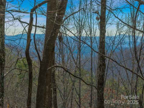 9999-16 Bob Barnwell Road Asheville NC 28803