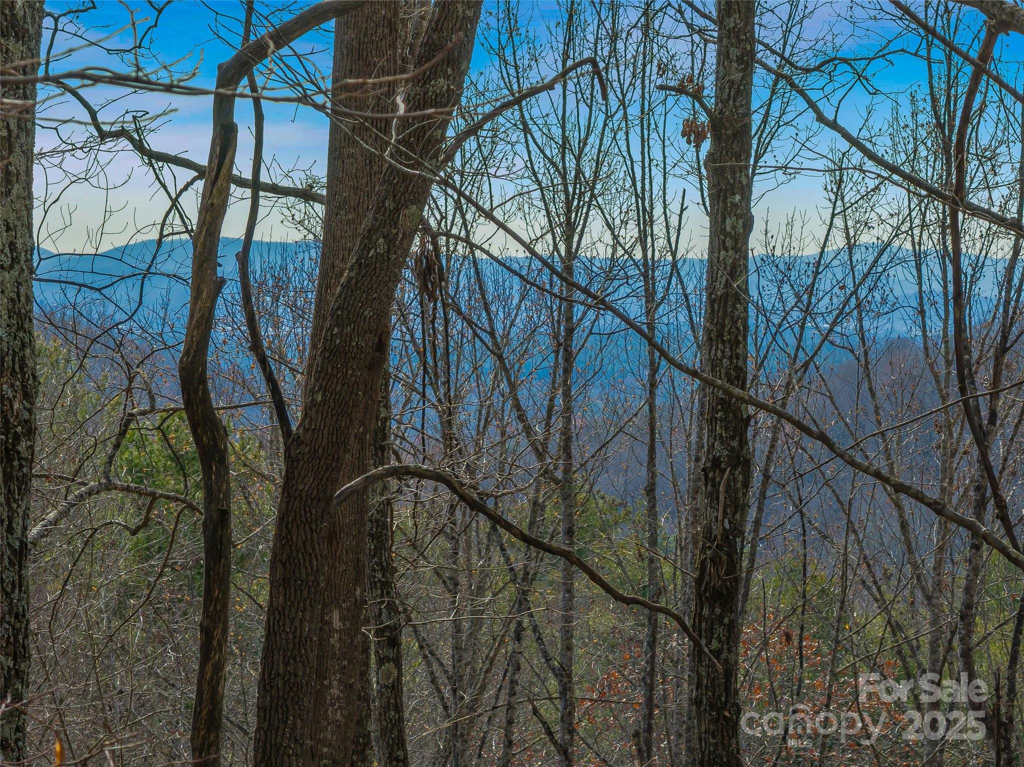 9999-16 Bob Barnwell Road Asheville NC 28803