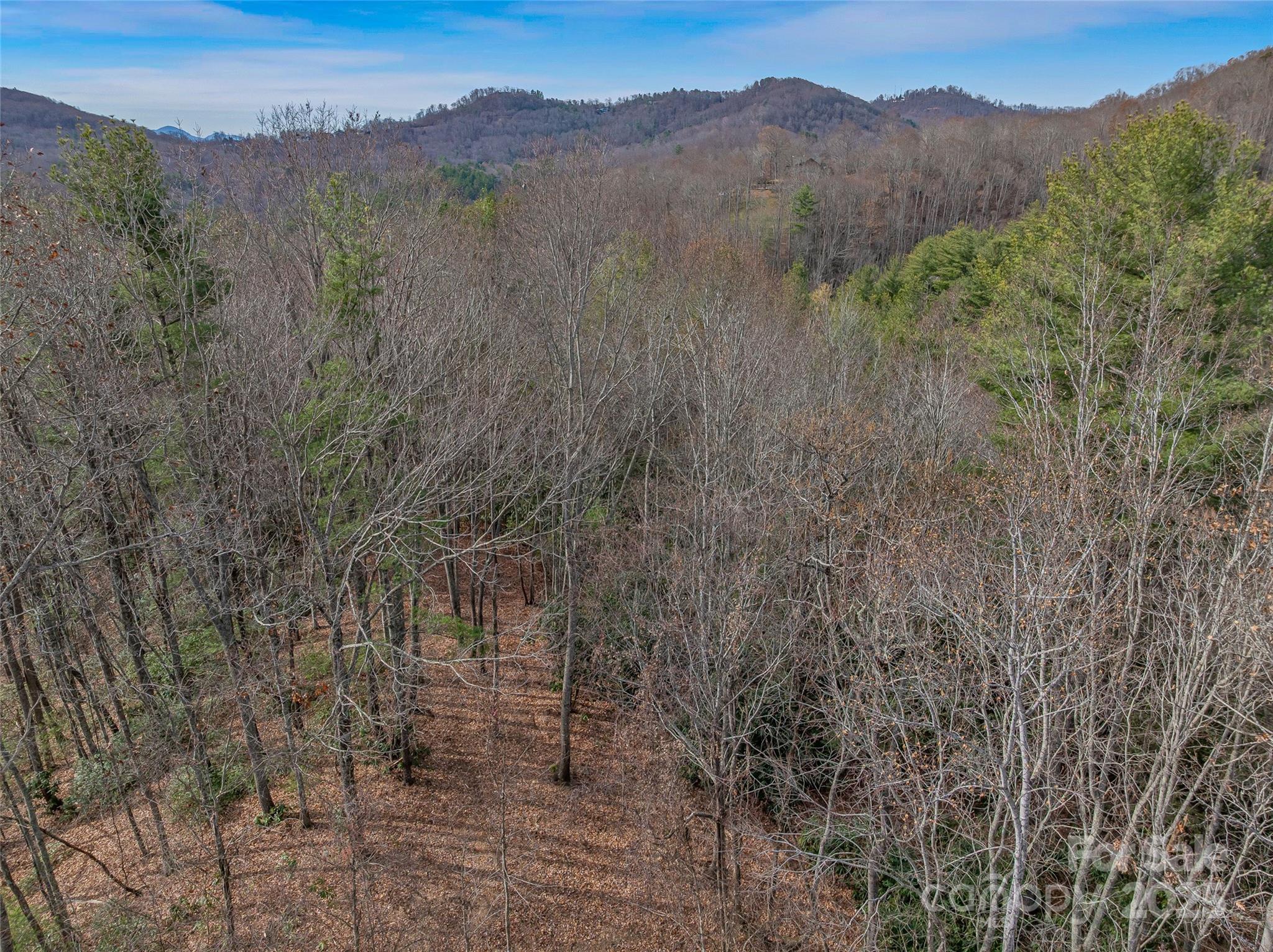 9999-16 Bob Barnwell Road Asheville NC 28803
