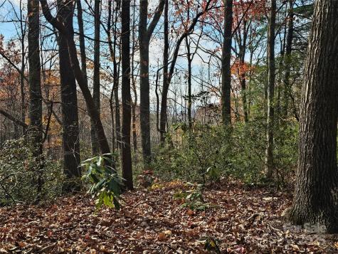 9999-16 Bob Barnwell Road Asheville NC 28803