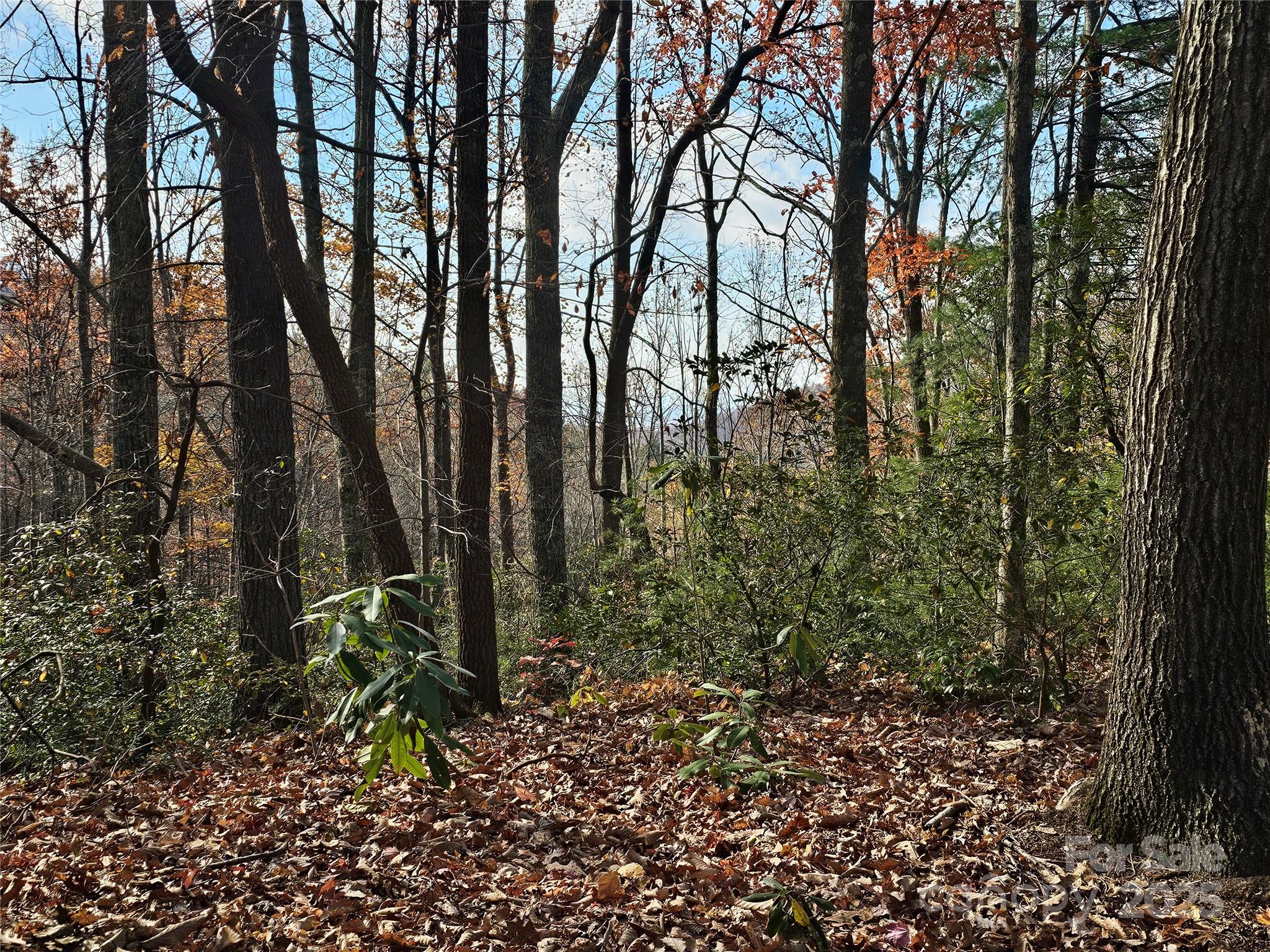 9999-16 Bob Barnwell Road Asheville NC 28803