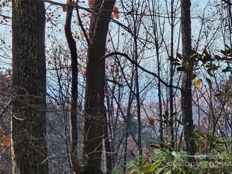 9999-16 Bob Barnwell Road Asheville NC 28803