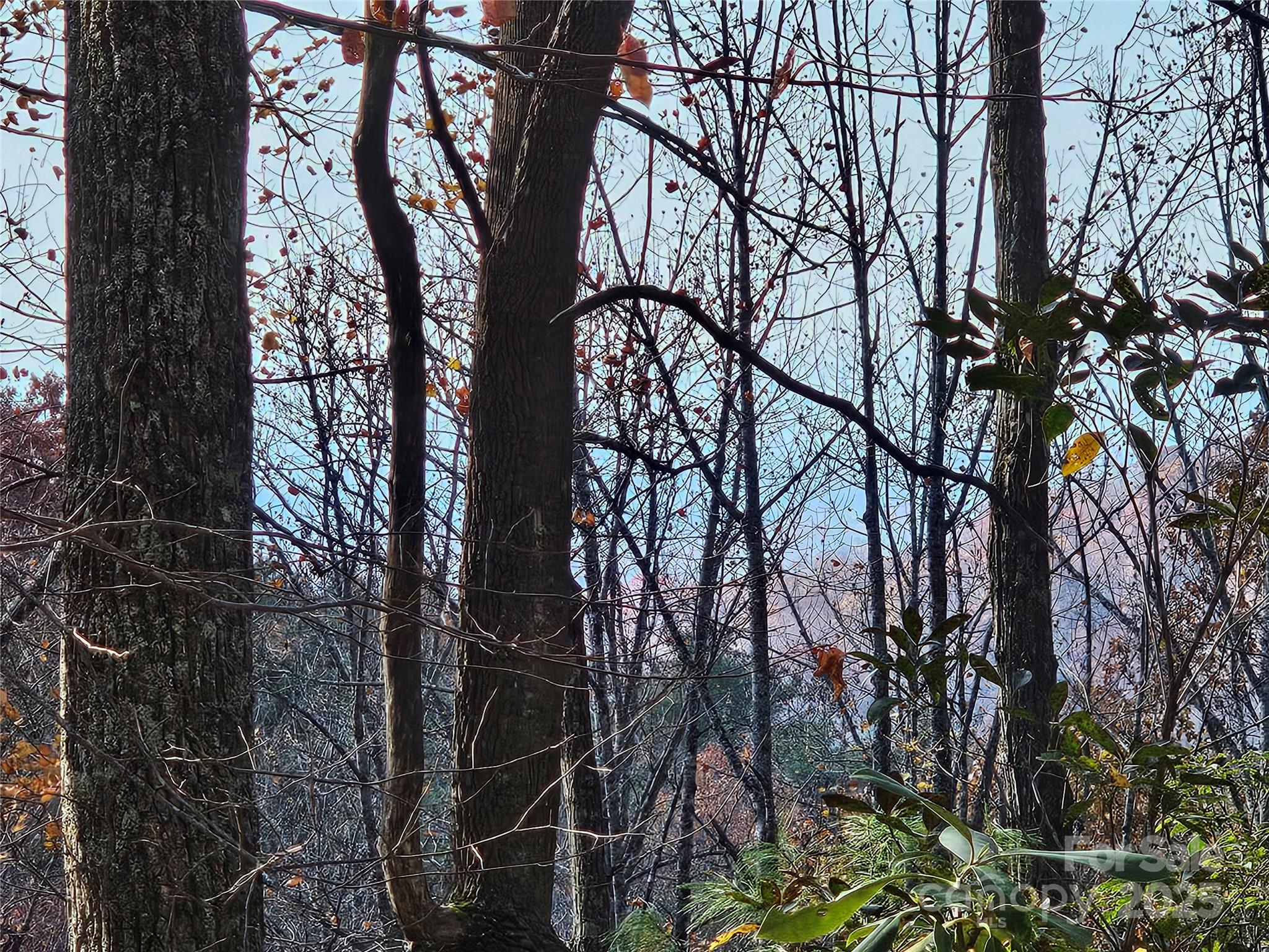 9999-16 Bob Barnwell Road Asheville NC 28803