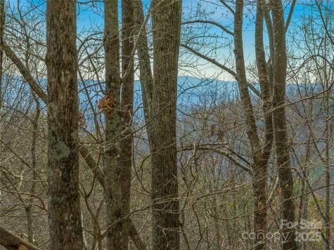 9999-16 Bob Barnwell Road Asheville NC 28803