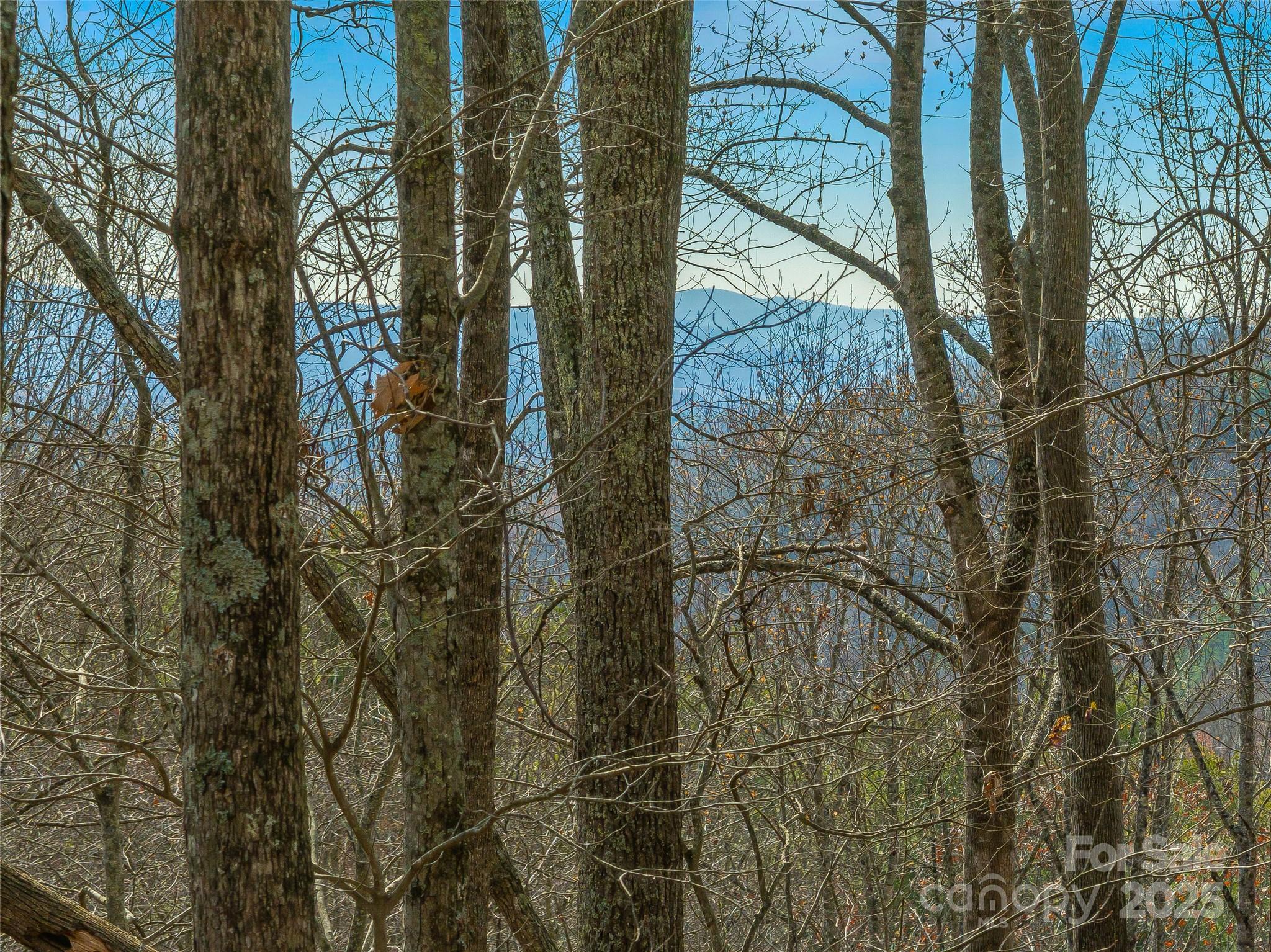 9999-16 Bob Barnwell Road Asheville NC 28803