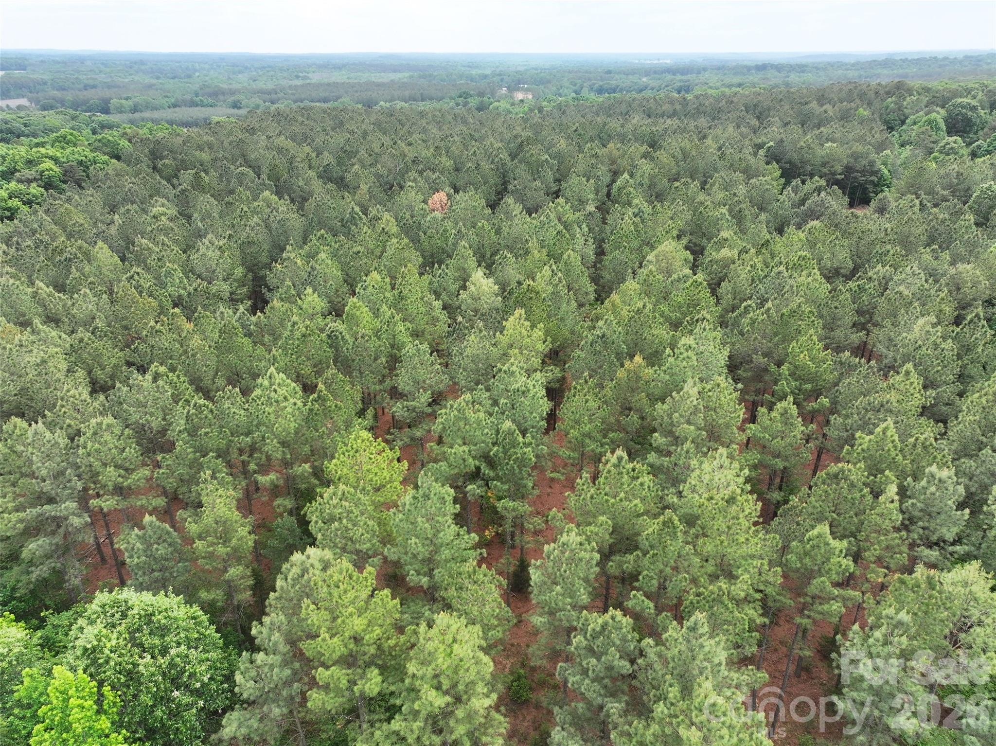 Tbd Hasty Road N Peachland NC 28133