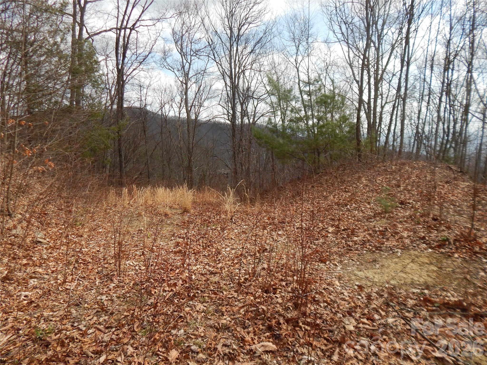 5 Sigogglin Trail Waynesville NC 28785