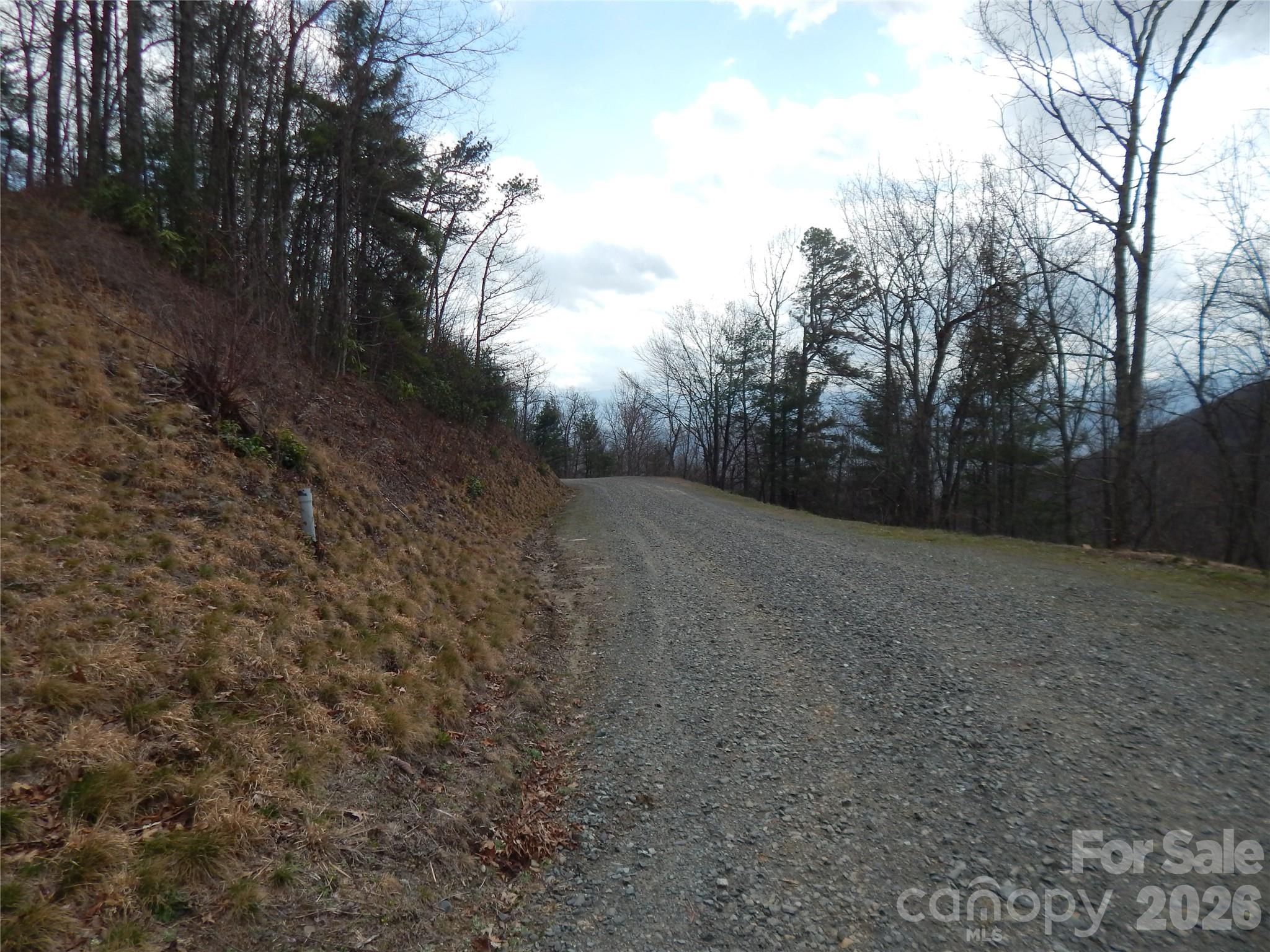 5 Sigogglin Trail Waynesville NC 28785