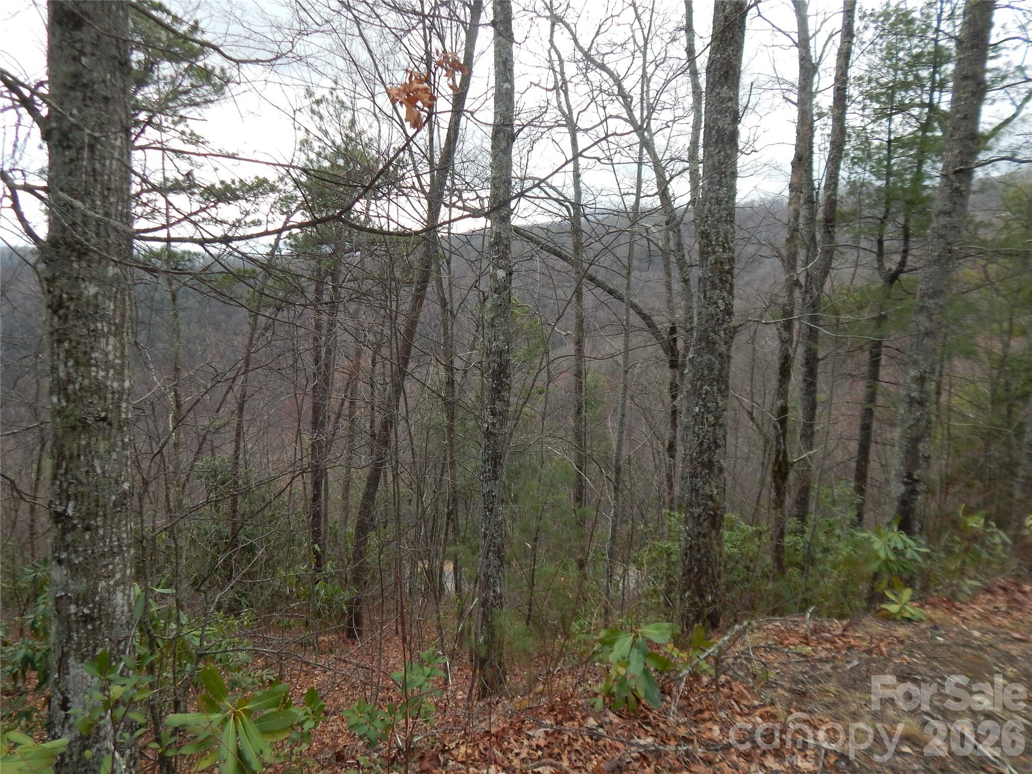 5 Sigogglin Trail Waynesville NC 28785