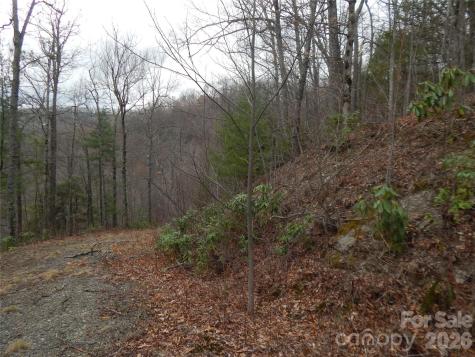5 Sigogglin Trail Waynesville NC 28785
