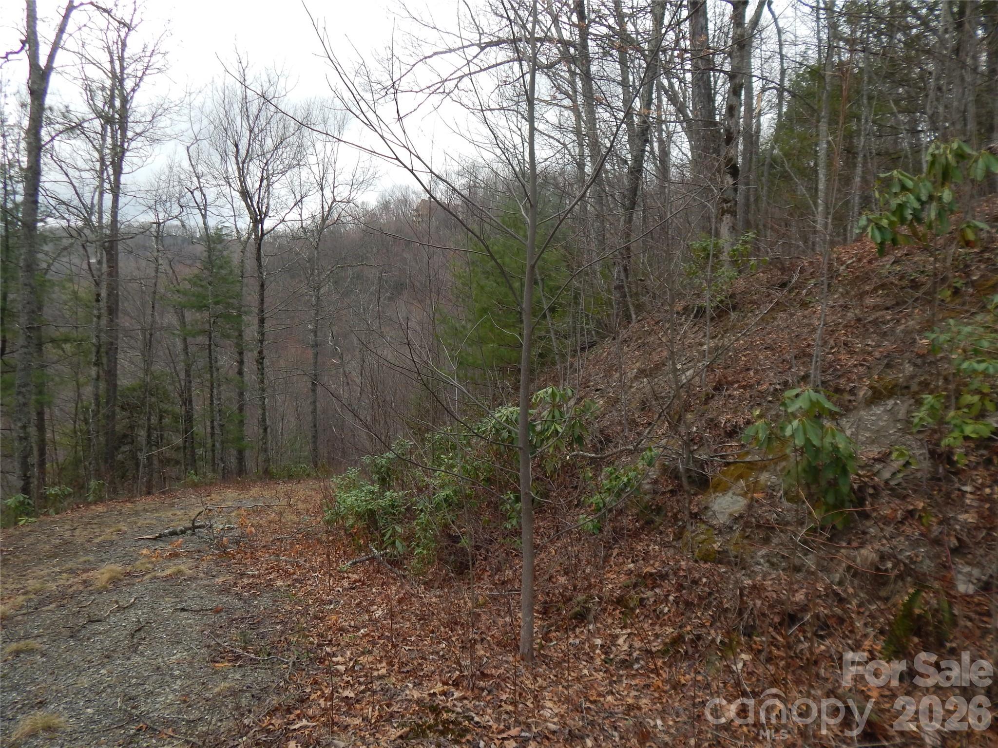 5 Sigogglin Trail Waynesville NC 28785