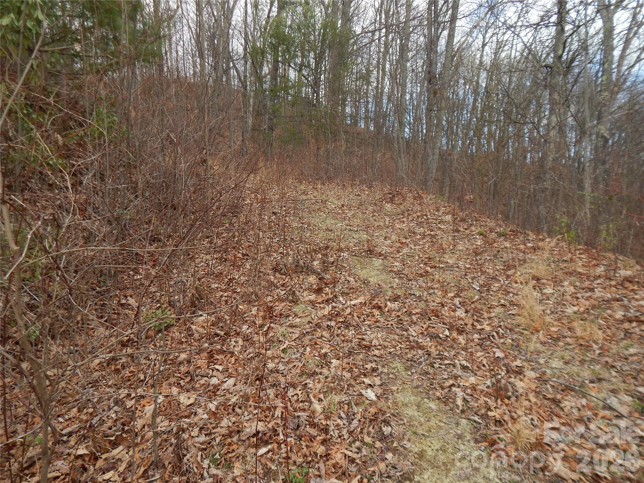 5 Sigogglin Trail Waynesville NC 28785
