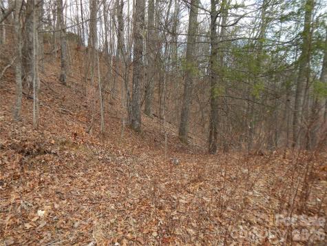 5 Sigogglin Trail Waynesville NC 28785