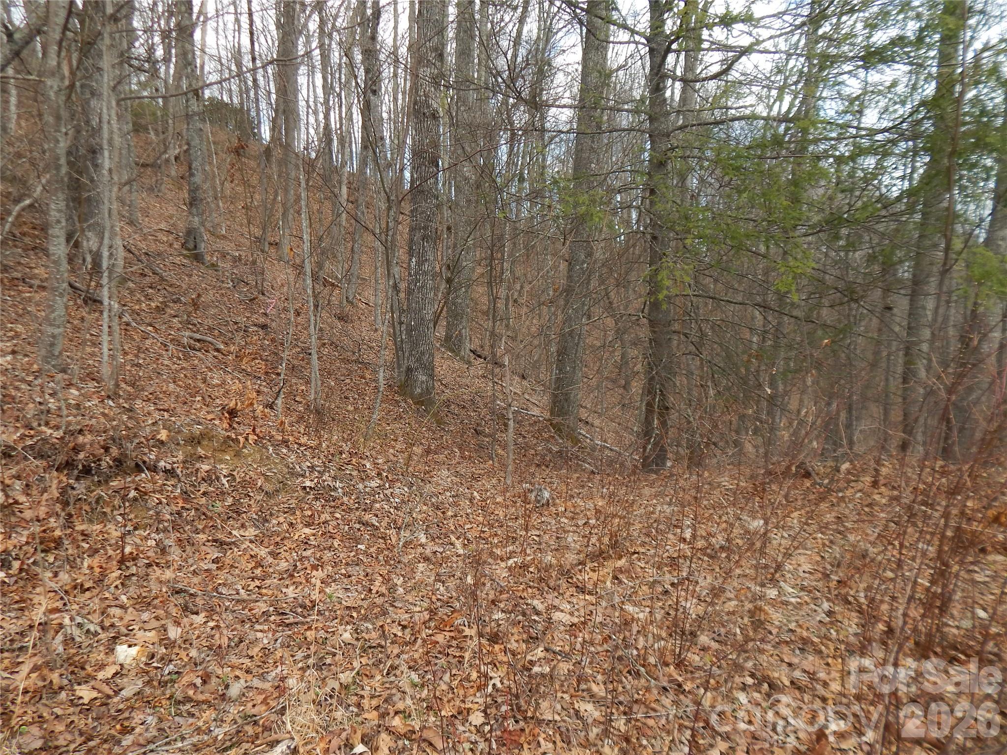5 Sigogglin Trail Waynesville NC 28785