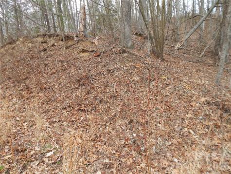 5 Sigogglin Trail Waynesville NC 28785
