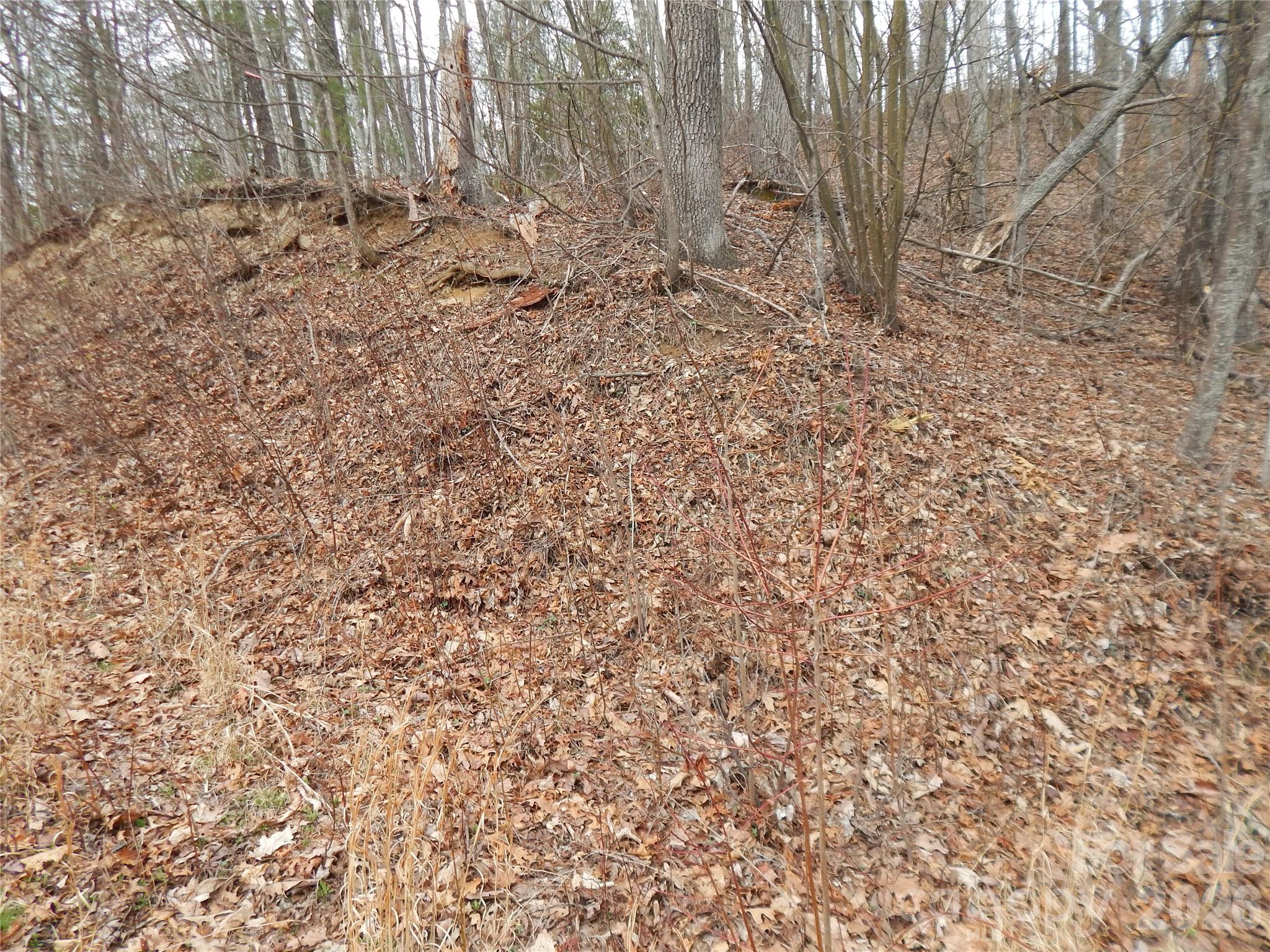5 Sigogglin Trail Waynesville NC 28785
