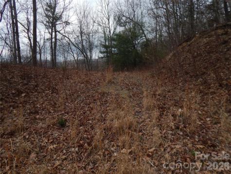 5 Sigogglin Trail Waynesville NC 28785