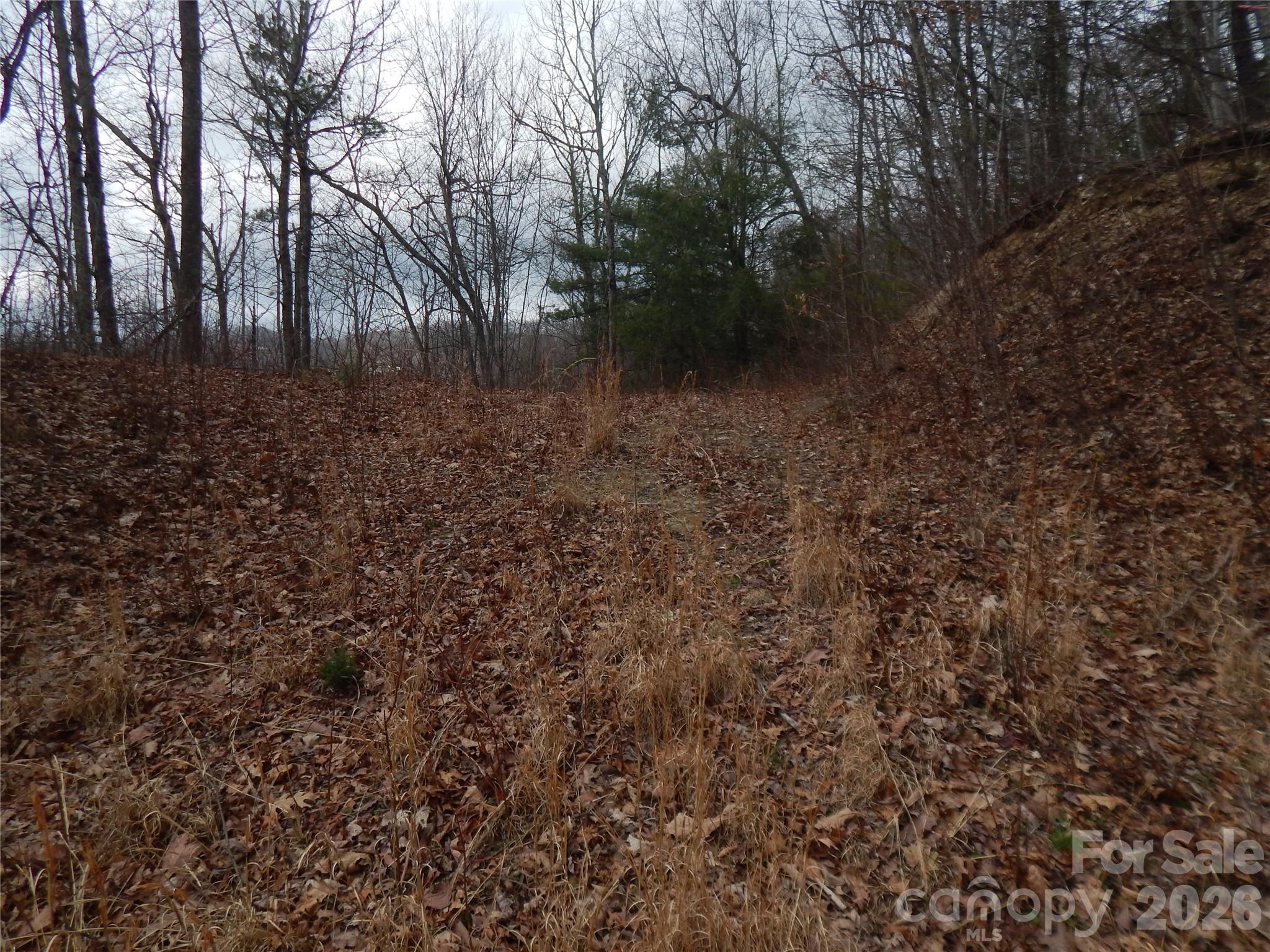 5 Sigogglin Trail Waynesville NC 28785