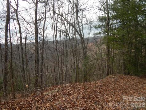 5 Sigogglin Trail Waynesville NC 28785