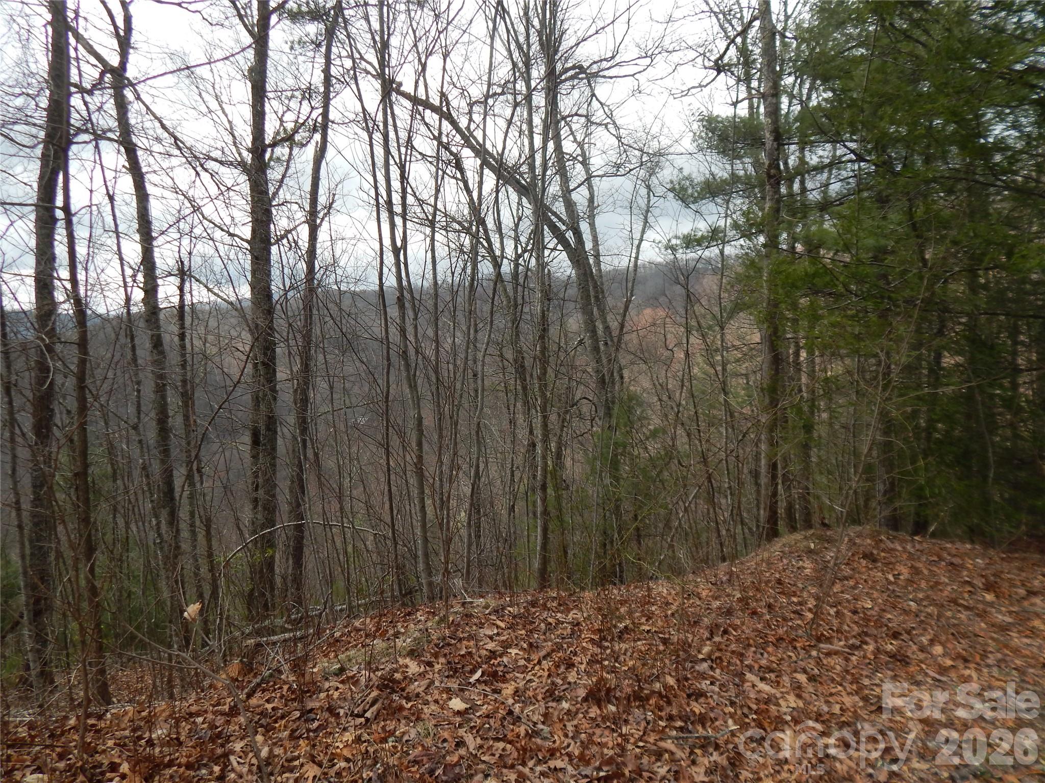 5 Sigogglin Trail Waynesville NC 28785